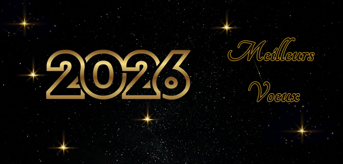 Meilleurs Voeux 2026
